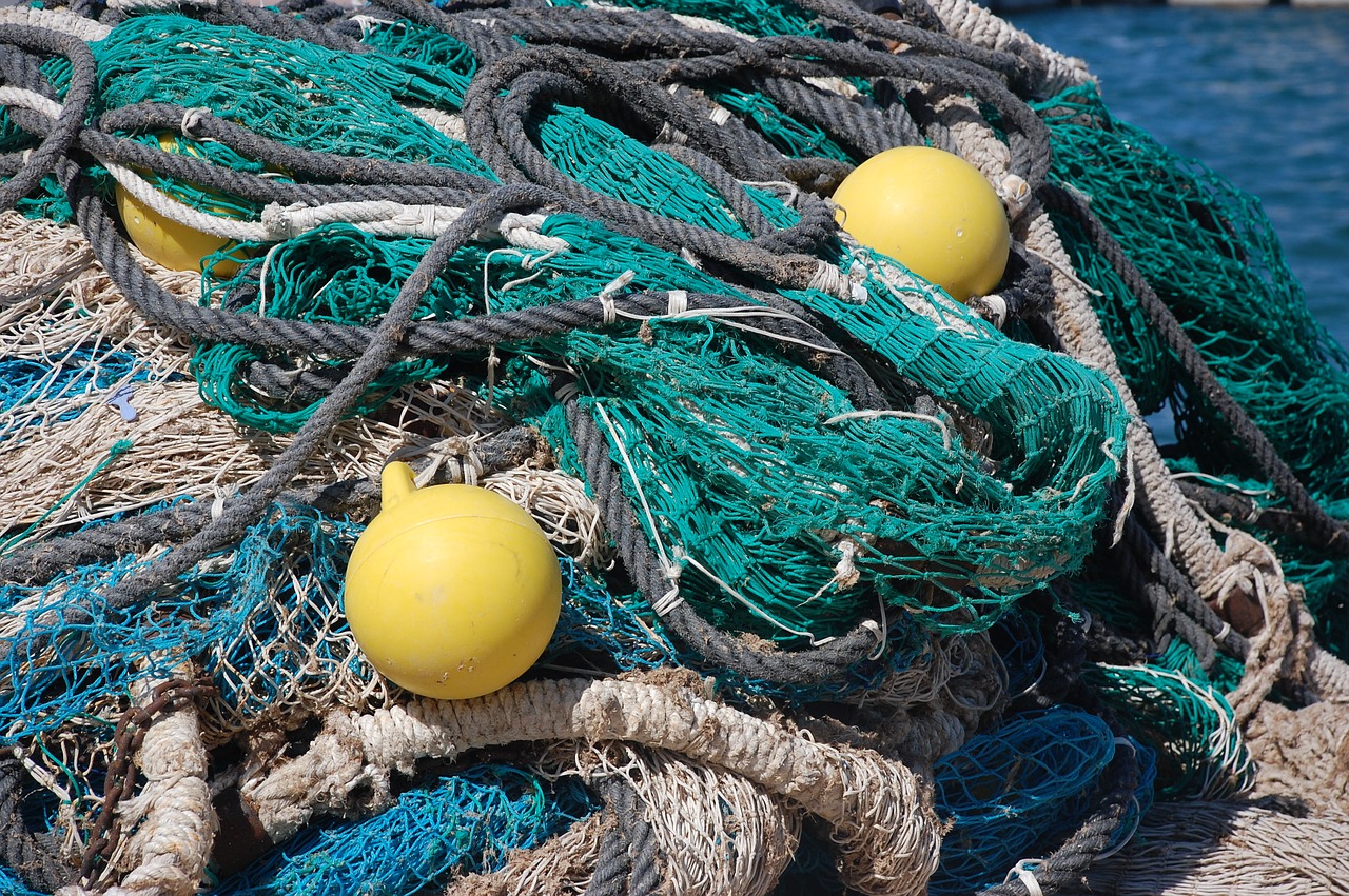 fishing nets in the water